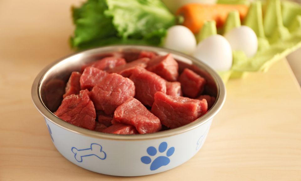 Healthy raw dog food