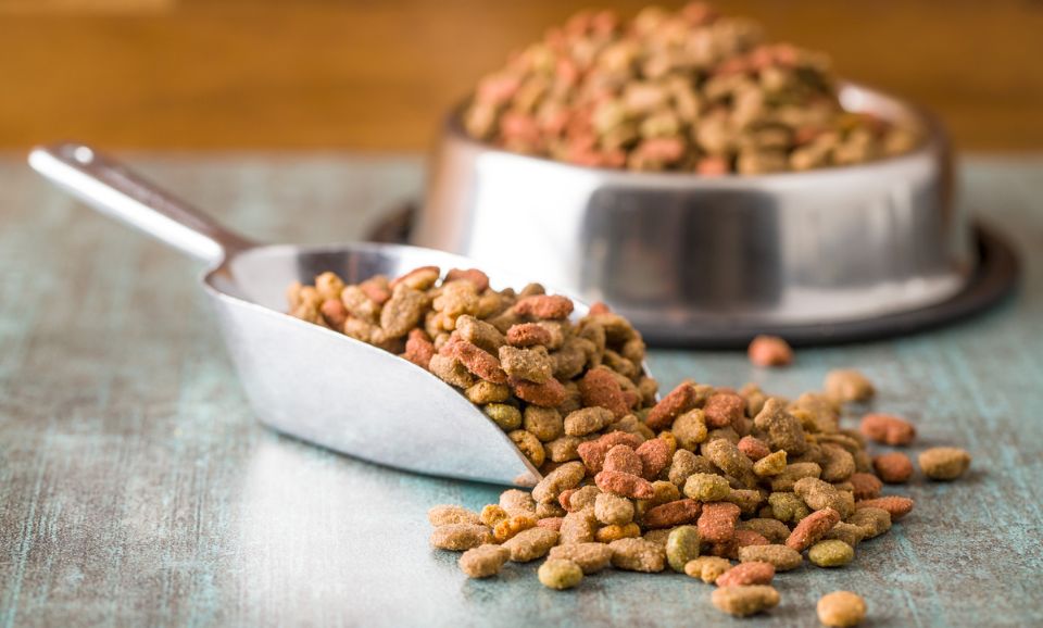 Ultra-Processed Dog Food Kibble