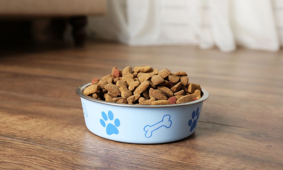 dog food kibble
