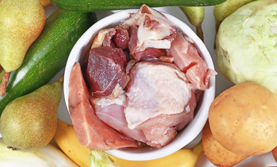 Dog Meal Prep Top view of healthy dog food bowl